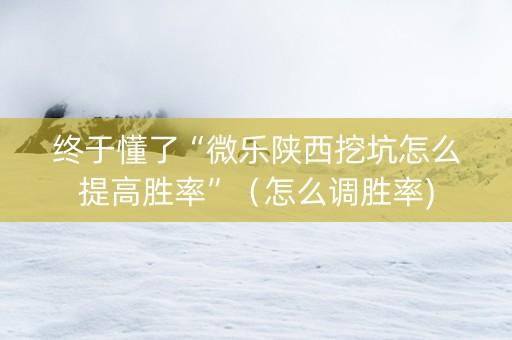 终于懂了“微乐陕西挖坑怎么提高胜率”（怎么调胜率)
