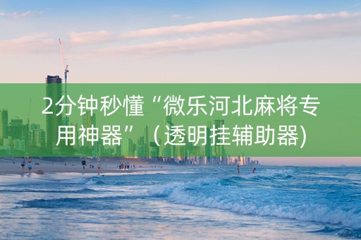 2分钟秒懂“微乐河北麻将专用神器”（透明挂辅助器)