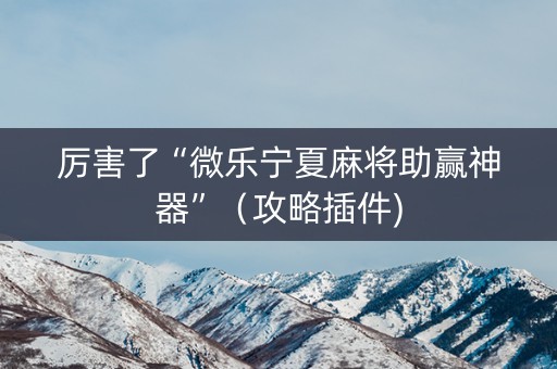 厉害了“微乐宁夏麻将助赢神器”（攻略插件)