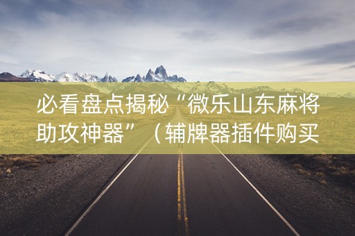 必看盘点揭秘“微乐山东麻将助攻神器”（辅牌器插件购买)