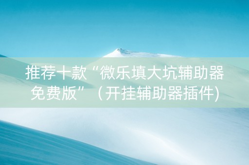 推荐十款“微乐填大坑辅助器免费版”（开挂辅助器插件)