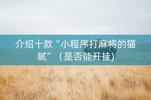 介绍十款“小程序打麻将的猫腻”（是否能开挂)