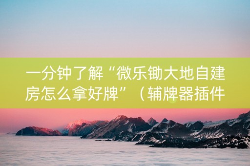一分钟了解“微乐锄大地自建房怎么拿好牌”（辅牌器插件购买)