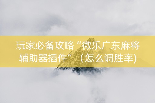 玩家必备攻略“微乐广东麻将辅助器插件”（怎么调胜率)