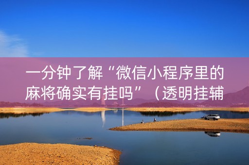 一分钟了解“微信小程序里的麻将确实有挂吗”（透明挂辅助器)