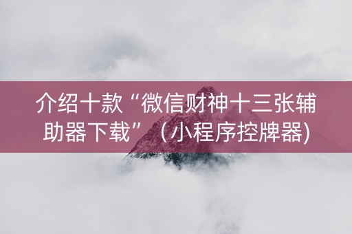 介绍十款“微信财神十三张辅助器下载”（小程序控牌器)