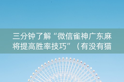 三分钟了解“微信雀神广东麻将提高胜率技巧”（有没有猫腻)