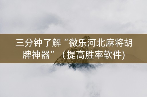三分钟了解“微乐河北麻将胡牌神器”（提高胜率软件)