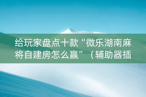 给玩家盘点十款“微乐湖南麻将自建房怎么赢”（辅助器插件)