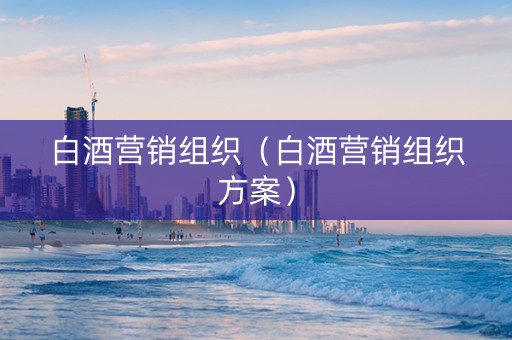 白酒营销组织（白酒营销组织方案）
