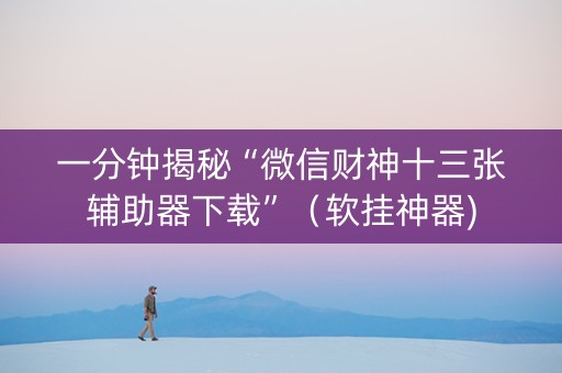 一分钟揭秘“微信财神十三张辅助器下载”（软挂神器)