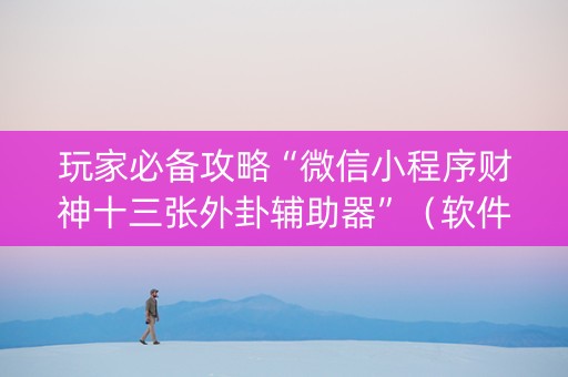 玩家必备攻略“微信小程序财神十三张外卦辅助器”（软件出售)