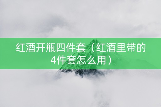 红酒开瓶四件套（红酒里带的4件套怎么用）