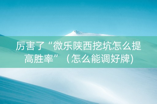 厉害了“微乐陕西挖坑怎么提高胜率”（怎么能调好牌)