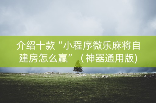 介绍十款“小程序微乐麻将自建房怎么赢”（神器通用版)