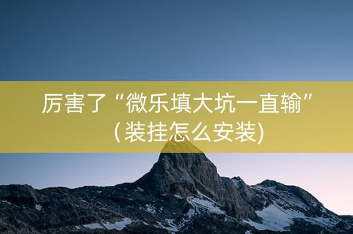 厉害了“微乐填大坑一直输”（装挂怎么安装)