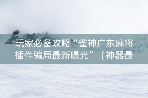 玩家必备攻略“雀神广东麻将插件骗局最新曝光”（神器最新免费)