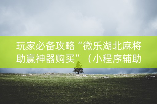 玩家必备攻略“微乐湖北麻将助赢神器购买”（小程序辅助软件)