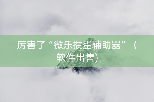 厉害了“微乐掼蛋辅助器”（软件出售)