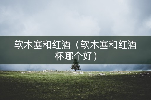 软木塞和红酒（软木塞和红酒杯哪个好）