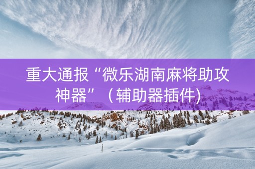 重大通报“微乐湖南麻将助攻神器”（辅助器插件)