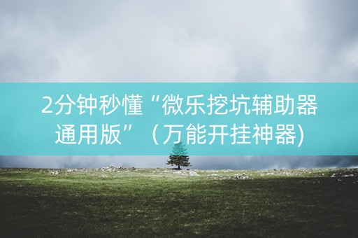 2分钟秒懂“微乐挖坑辅助器通用版”（万能开挂神器)