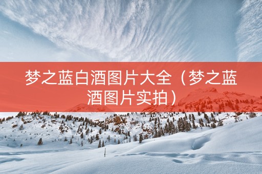 梦之蓝白酒图片大全（梦之蓝酒图片实拍）