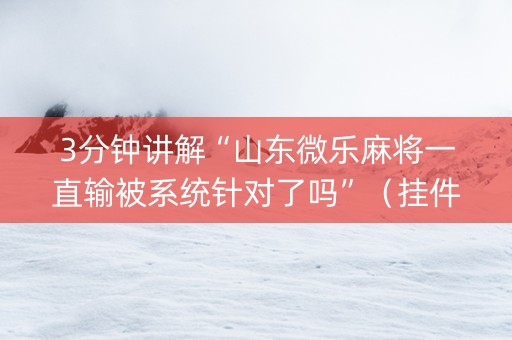 3分钟讲解“山东微乐麻将一直输被系统针对了吗”（挂件神器)