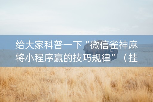给大家科普一下“微信雀神麻将小程序赢的技巧规律”（挂件神器)