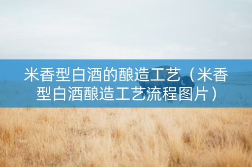 米香型白酒的酿造工艺（米香型白酒酿造工艺流程图片）