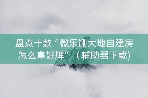 盘点十款“微乐锄大地自建房怎么拿好牌”（辅助器下载)