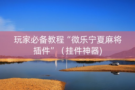 玩家必备教程“微乐宁夏麻将插件”（挂件神器)