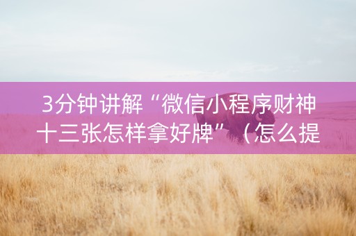 3分钟讲解“微信小程序财神十三张怎样拿好牌”（怎么提高胜率)