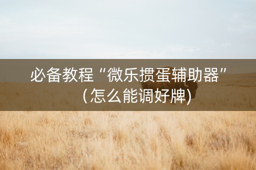 必备教程“微乐掼蛋辅助器”（怎么能调好牌)
