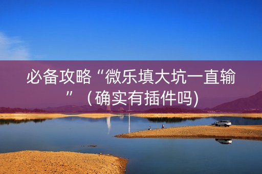必备攻略“微乐填大坑一直输”（确实有插件吗)