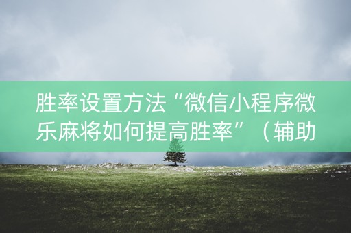 胜率设置方法“微信小程序微乐麻将如何提高胜率”（辅助器下载)