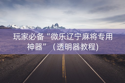 玩家必备“微乐辽宁麻将专用神器”（透明器教程)