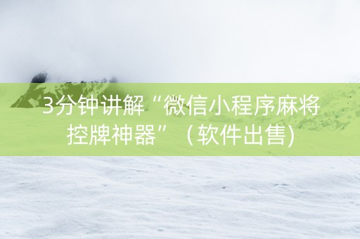 3分钟讲解“微信小程序麻将控牌神器”（软件出售)