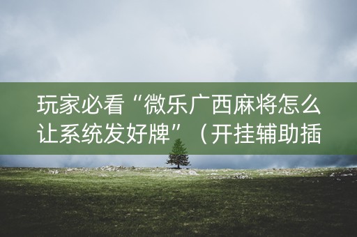 玩家必看“微乐广西麻将怎么让系统发好牌”（开挂辅助插件)