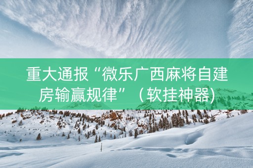 重大通报“微乐广西麻将自建房输赢规律”（软挂神器)