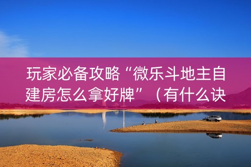 玩家必备攻略“微乐斗地主自建房怎么拿好牌”（有什么诀窍)