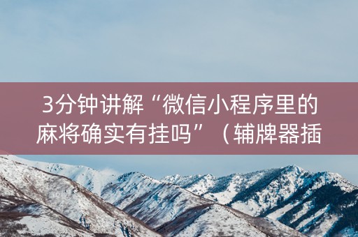 3分钟讲解“微信小程序里的麻将确实有挂吗”（辅牌器插件购买)