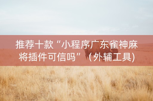 推荐十款“小程序广东雀神麻将插件可信吗”（外辅工具)