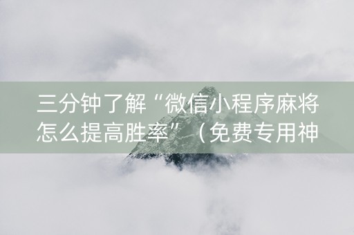 三分钟了解“微信小程序麻将怎么提高胜率”（免费专用神器)