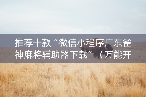 推荐十款“微信小程序广东雀神麻将辅助器下载”（万能开挂神器)