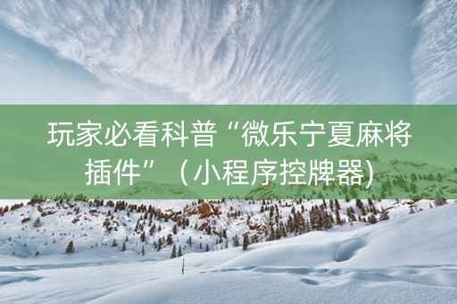 玩家必看科普“微乐宁夏麻将插件”（小程序控牌器)