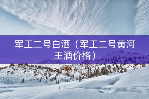 军工二号白酒（军工二号黄河王酒价格）