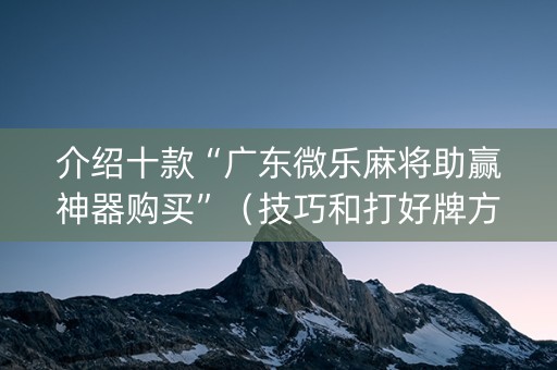 介绍十款“广东微乐麻将助赢神器购买”（技巧和打好牌方法)