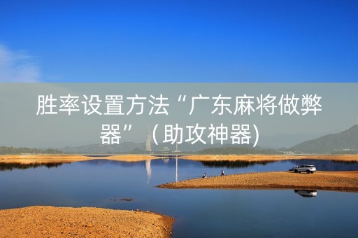 胜率设置方法“广东麻将做弊器”（助攻神器)