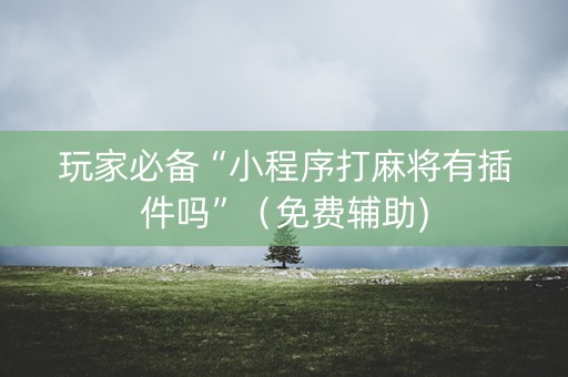 玩家必备“小程序打麻将有插件吗”（免费辅助)
